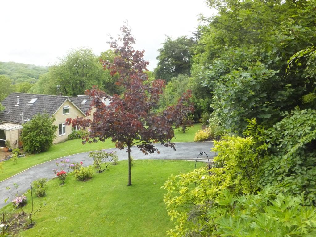 Shrubdown Bed & Breakfast Freshford Exterior foto